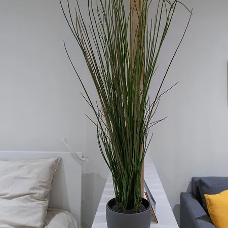 ※perrier Tranche※ Emplacement ⁕ Clermont-Ferrand